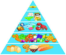 饮食营养金字塔图片